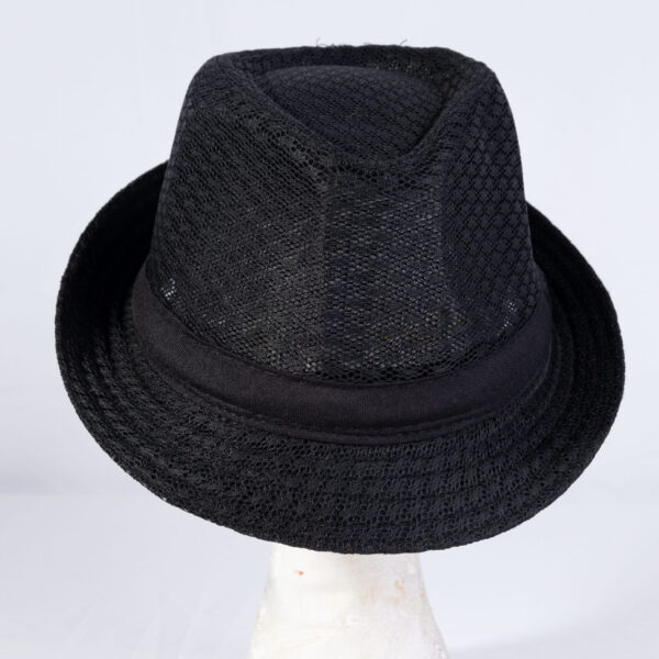 Panamá Hat