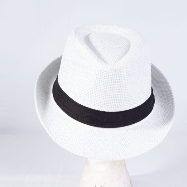 Panamá Hat