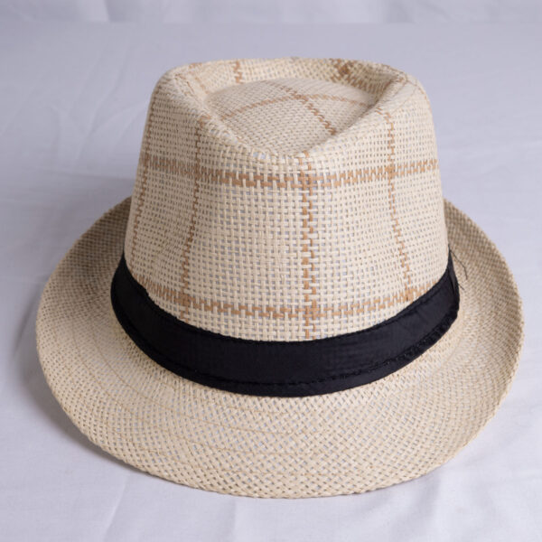 Panamá Hat