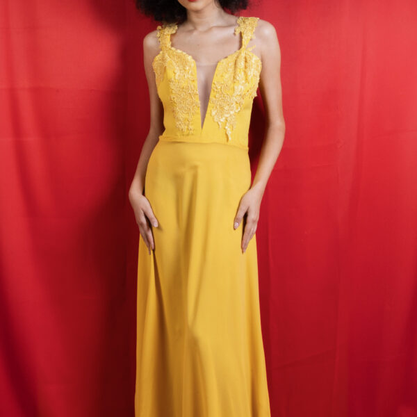 Long Dress Silk Chiffon